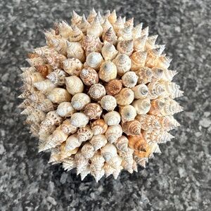 Shell ball accent